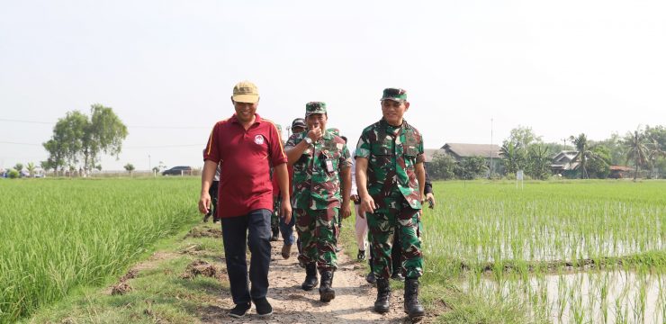 Rektor Unhan RI Melaksanakan Kunjungan ke Lokasi Program Tani Merdeka di Kabupaten Karawang dan Kabupaten Purwakarta