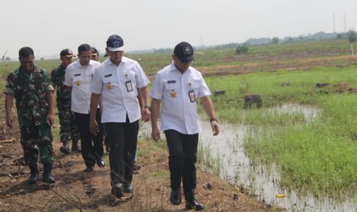 Rektor Unhan RI Tinjau Lokasi Rencana Lokasi Penanaman Jagung untuk Program Ketahanan Pangan Nasional.