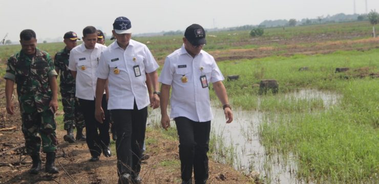 Rektor Unhan RI Tinjau Lokasi Rencana Lokasi Penanaman Jagung untuk Program Ketahanan Pangan Nasional.